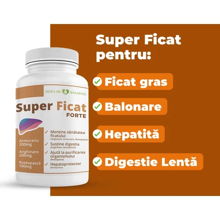 Super Liver Forte, 30 capsules, Healthy Dose
