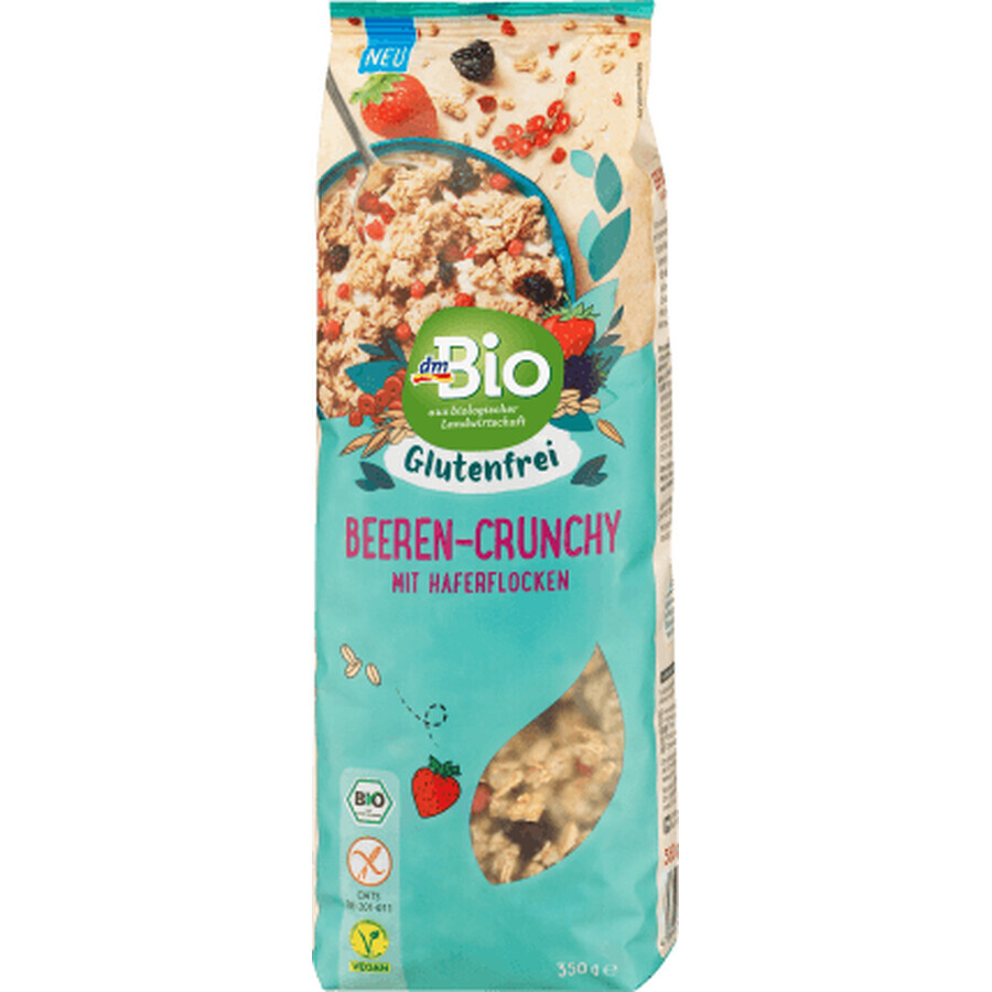 Buy DmBio Gluten-free berry muesli, 350 g DmBio Gluten-free berry muesli, 350 g