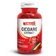 Chicory extract, 60 capsules, AdNatura