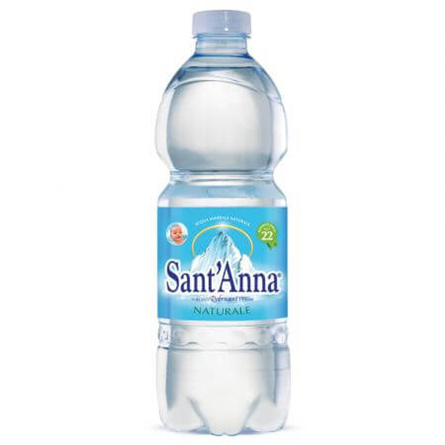 Buy Silver mineral water, 0.5 l, Sant Anna Silver mineral water, 0.5 l, Sant Anna