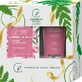 Cosmetica Plant Hand- en gezichtscrème set, 1 stuk