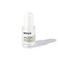 Vegan Collagen, Elastin and Hyaluronic Acid Serum, 30 ml, Aimee