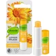 Alverde Naturkosmetik Bálsamo labial de caléndula, 4,8 g