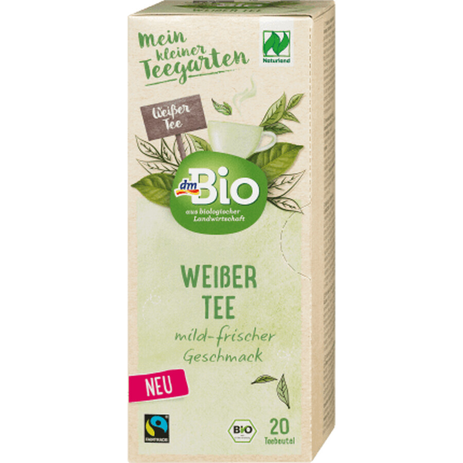 Buy DmBio White tea, 20 sachets DmBio White tea, 20 sachets