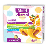 Multivitamol lollipop, 12 pieces, Zdrovit
