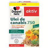 Huile de cannabis 750 + Californian Mac + Ashwagandha, 10 gélules, Doppelherz