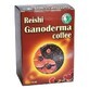 Caf&#233; de Ganoderma Reishi, 15 sobres, Dr. Chen Patika