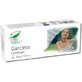 Garcinia Cambogia, 30 g&#233;lules, Pro Natura