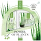 Lirene Set de regalo ALOE crema y tónico, 1 ud.