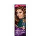 Wellaton Permanentfarbe 6/7 Magnetic Chocolate, 1 Stk