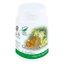 Gastrophyt Forte, 60 capsules, Pro Natura
