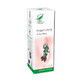 Tincture of Bear Grapes 50 ml, Pro Natura