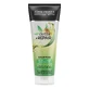 Repair shampoo for damaged hair Detox+Repair, 250 ml, John Frieda