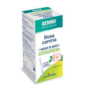 Rosa Canina Gemmo extract of poppy seed, 60 ml, Boiron