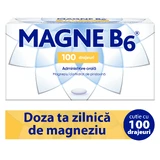 Magne B6