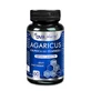 Afaricus Mushroom of God, 60 capsules, DVR Pharm