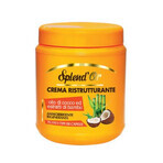 Traitement capillaire à l'huile de coco et à l'extrait de bambou, 1000 ml, Splend'or Traitement capillaire à l'huile de coco et à l'extrait de bambou, 1000 ml, Splend'or
