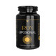 Vio Nutri Lab