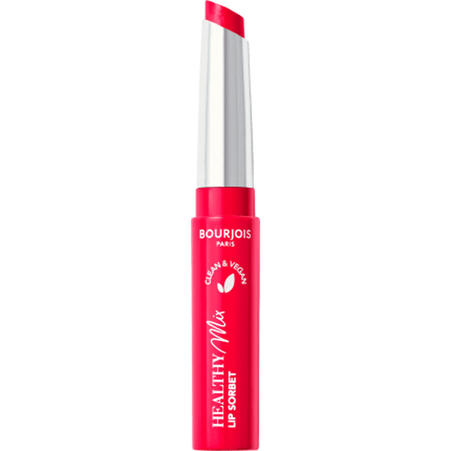 Bourjois Paris Lucidalabbra sano 05 Bacca di ghiaccio, 1 pz.