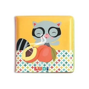 Sensory educational book, Ludi