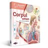 Interactive book (no pencil) , Human body, Raspundel Istetel