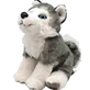 Husky puppy pluche knuffel, 20 cm, Wild Republic