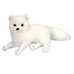Peluche Zorro Ártico, 20 cm, Wild Republic