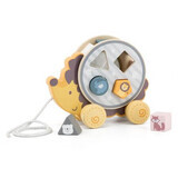 Clasificador de formas geométricas Arici PolarB, New Classic Toys