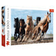Galloping horses puzzle, 1000 pieces, Trefl