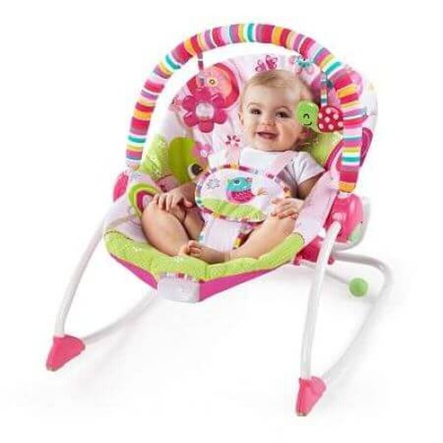 2 in 1 Swing, Raspberry Garden, 3-18 Kg, Bright Starts
