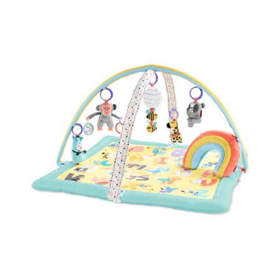 Baby en alfabet activiteitenmat, Skip Hop