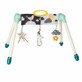 Mini Moon play centre, +0 months, Taf Toys
