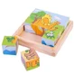 Dinosaur cubes, Bigjigs