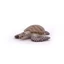 Sea turtle figurine, +3 years, Papo
