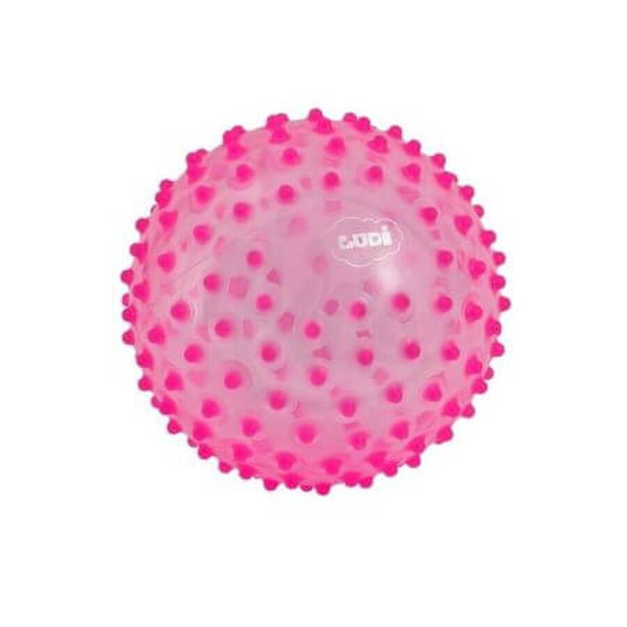 Sensory ball Pink, Ludi