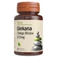 Ginkana Ginkgo Biloba 120mg, 30 tablets, Alevia