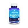 Ginkgo 120 Stem, 120 capsules, Herbagetic