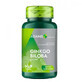Ginkgo Biloba 240mg, 60 tablet, Adams Vision