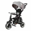 Rito Plus folding children's tricycle, Grey, Qplay