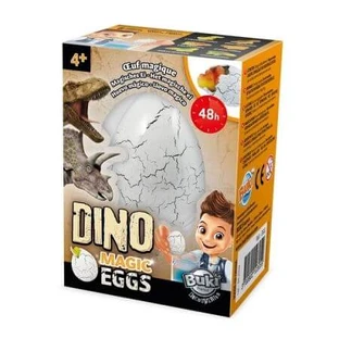 Oul magic Dino, Buki