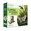 Pencil and interactive book pack, Animal World, Raspundel Istetel
