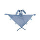 Plus maxi for pacifier, Bleu, Nattou