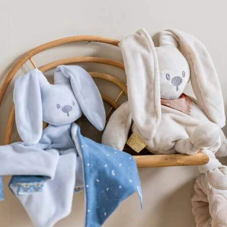 Plus maxi for pacifier, Bleu, Nattou