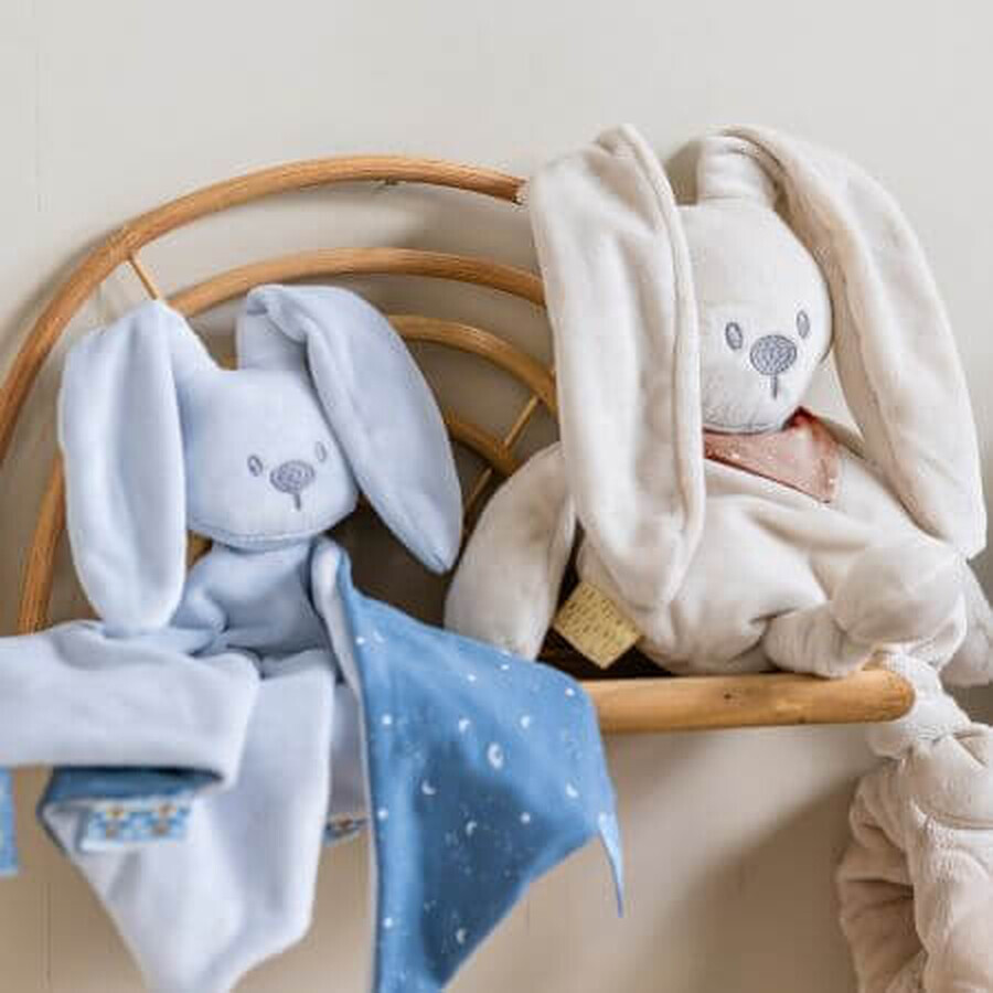 Plus maxi for pacifier, Bleu, Nattou