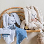 Plus maxi for pacifier, Bleu, Nattou Plus maxi for pacifier, Bleu, Nattou