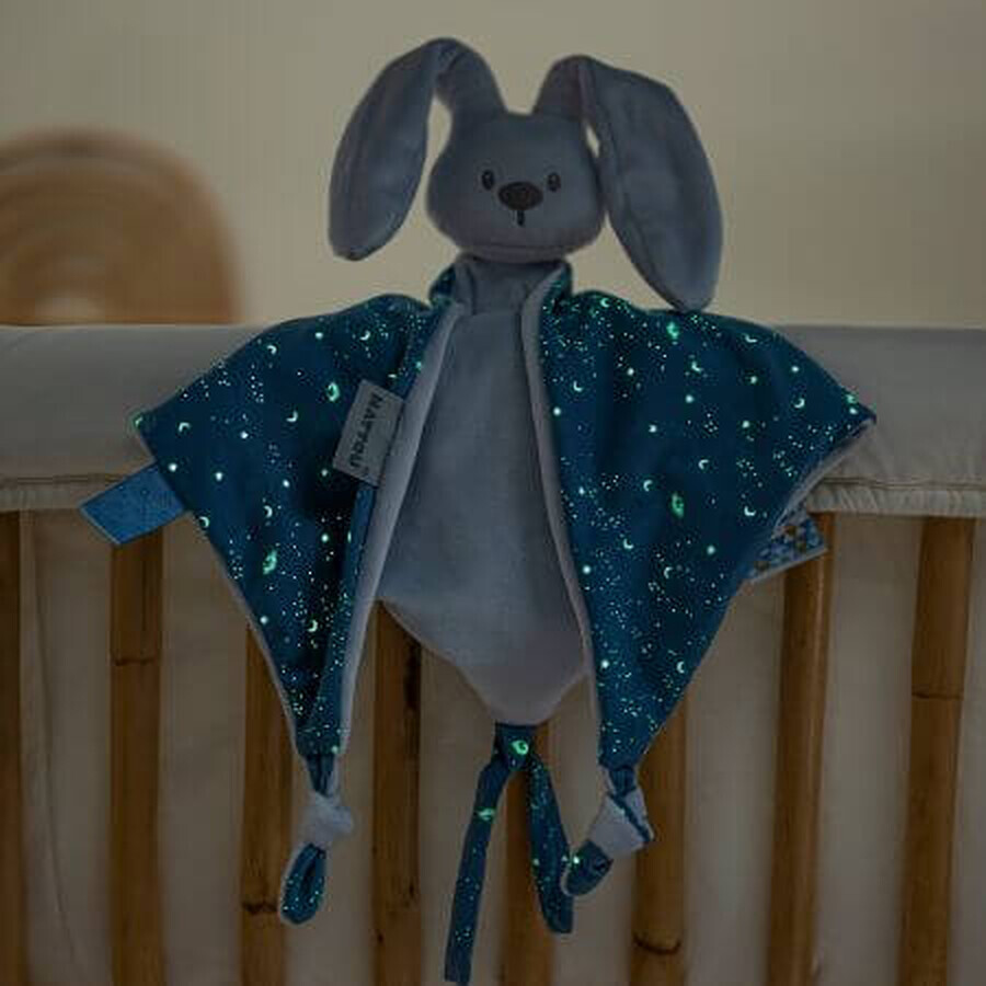 Plus maxi for pacifier, Bleu, Nattou
