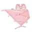 Plus maxi voor fopspeen, Roze, Nattou
