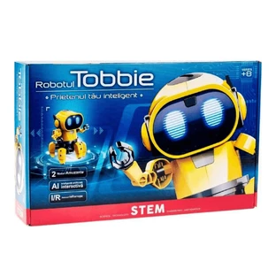Stem Tobbie interactive robot, The Source