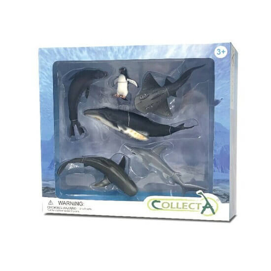 Satz von 6 Figuren Meeresleben, Collecta