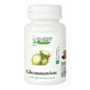 Glicemonorm Forte Plant Specialists, 60 tablets, Dacia Plant